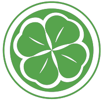 Eva Trullà's Portfolio